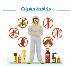 شركة الاخوات لخدمات مكافحة الحشرات والتعقيم مكافحة كافة انواع الحشرات في جميع أنحاء الامارات