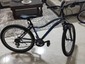 بسكليت أمريكي وراد الصين أستخدام يومين فقط لا غير السعر ..70 دينار أستخدام يومين ربنا الله