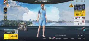 Pubg Accounts and Characters for Sale in Amman