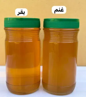 سمن عربي أصلي بقر