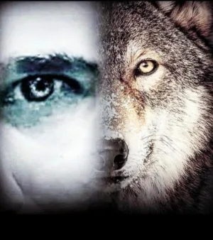 صقر ابو عقيل