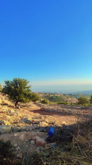 Residential Land for Sale in Amman Badr Jdedeh
