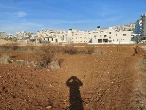 Commercial . 413 m2 . Landlord2