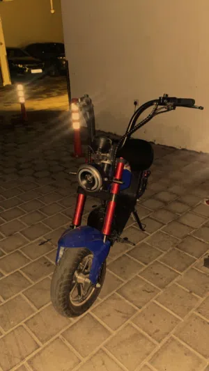 Used harley