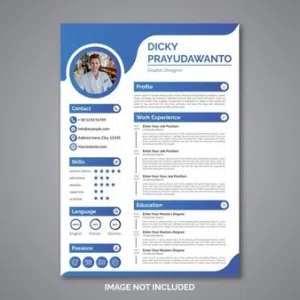 تصميم و كتابة السيرة الذاتية cv ممتازة و احترافية