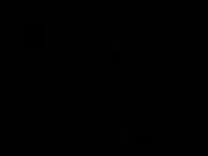 الي عنده جلب هاسكي لتبني يكلمني