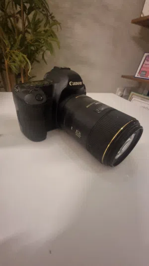 canon 5d ii with lense