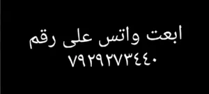 دجاج للبيع
