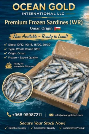 FROZEN SARDINE FISH AVAILABLE
