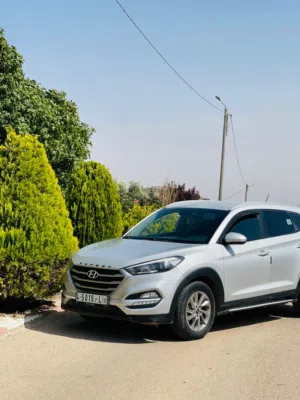 Used Hyundai Tucson in Tubas