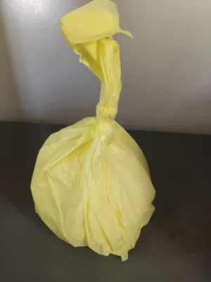 زبده البريمي