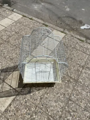 قفص كاسكو للبيع