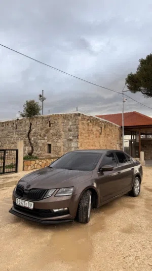 Used Skoda Octavia in Jenin