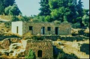 Commercial Land for Sale in Salt Um Jozeh