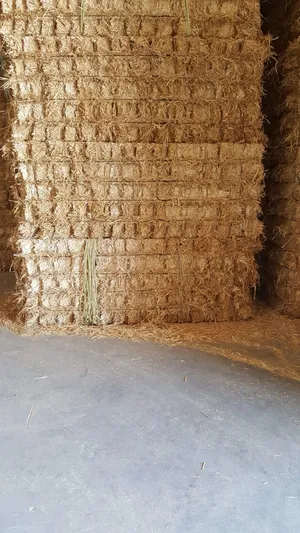 Animal Food . Farm Animals3