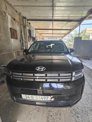 سنتافيا 2024 وارد امريكي مكفولة من الصبغ
