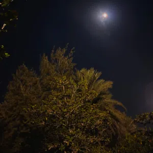 عبدالعزيز جاسم 