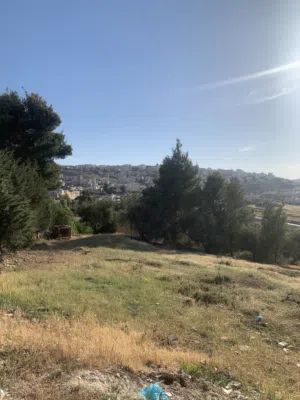 قطعه ارض مميزه في صافوط اراضي شمال عمان