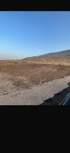 محمد عبد الرحيم معاني 