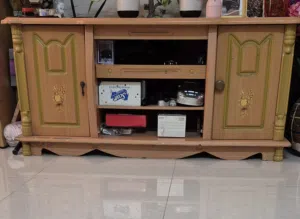 furniture: 2 sofa and one tv table