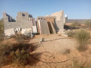 هيكل بلفوسكيه وادي الربيع ( المالك )