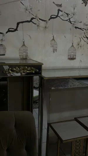 ديكور نضيف ومافيه شي