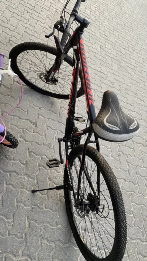 سيكل مقاس 29