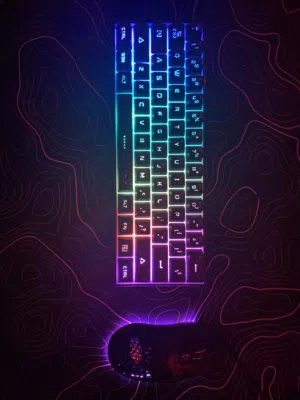 keyboard and mouse