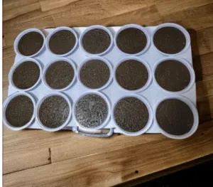 حلوى الكبش وحلوى الثوم