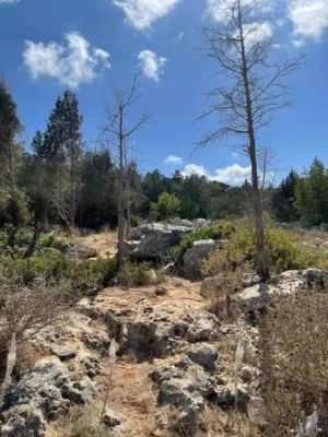Residential Land for Sale in Jebel Akhdar Bayda