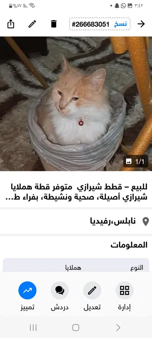 ‏هملايا‏3