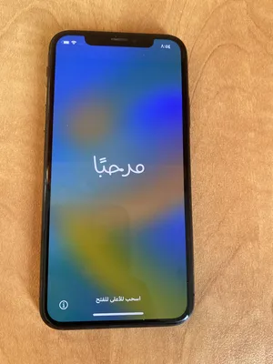 Apple . iPhone X . 256 GB3