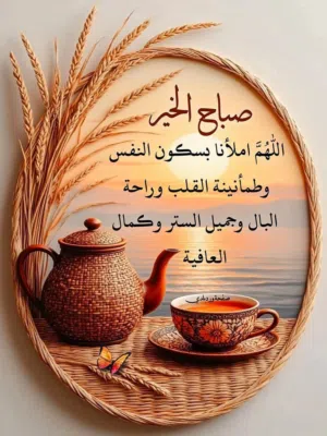تنظيف الشقق والفلل والحدائق