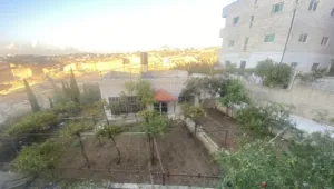 Mixed Use . 800 m2 . Landlord2