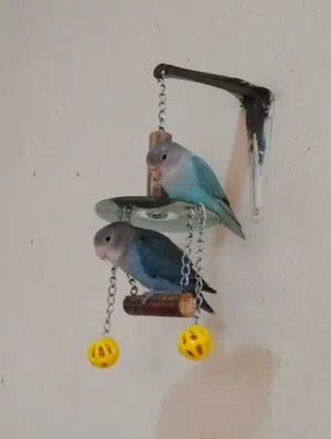 400  love birds