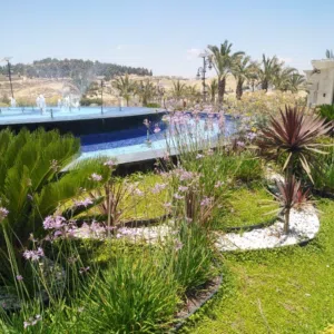 hussam allabban