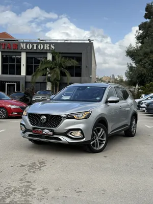 used-mg-mg-ehs-in-tulkarm