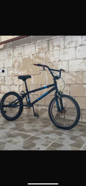 قاري دي كي