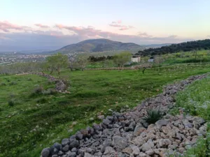 Residential . 950 m2 . Landlord0