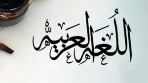 تدريس اللغة العربية، دروس خصوصية.