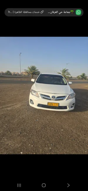Used Toyota Corolla in Buraimi