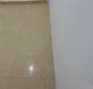 بارتشن بالشعب البحري