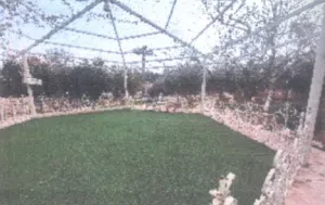 برسيم للبيع