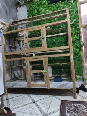 قفص حجم كبير