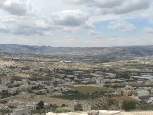 Residential Land for Sale in Amman Al Urdon Street