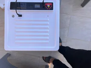 فقاصه للبيع