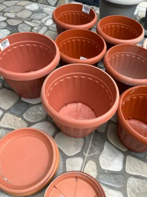 plant pots