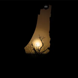 ابراهيم داود