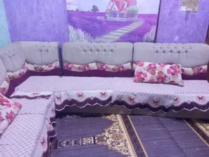 تخم قنفات للبيع