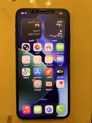 Apple iPhone 11 Pro Max 256 GB in Irbid